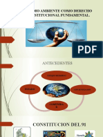 El Medio Ambiente Como Derecho