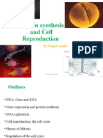 Protein Synthesis and Cell Reproduction: by Edget Abebe