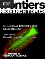 Molecular Basis of Fruit Development