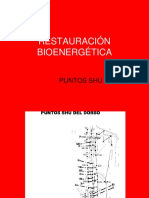 Puntos Shu de la restauración bioenergética