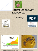 La Importancia de La Relación Entre Las Abejas