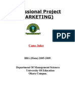 Professional Project (Marketing) : Cano Juice