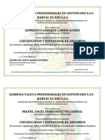 Cert Certificador de Andamios 247