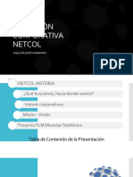 Induccion Netcol Corporativa