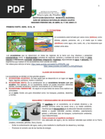Guía Naturales. Grado Cuarto. Periodo Dos-1