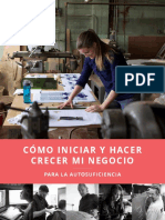 Cómo Iniciar y Hacer Crecer Mi Negocio (1)