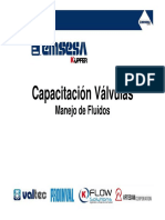 Capacitación Válvulas 2013