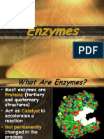 enzyme_ppt