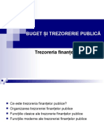 7 - Buget Si Trezorerie Publica