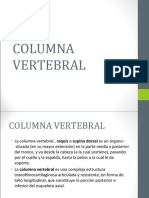 Columna Vertebral