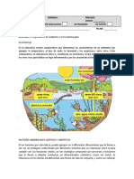 Guia de Ecosistema Ya Casi Terminado