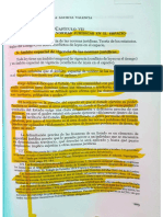 PDF SUB RAYADOCapitulo VII Aplicación de Las Normas Juridicas en El Espacio