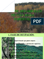 Fases de Desarrollo de Una Masa Forestal