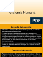 Anatomia Humana