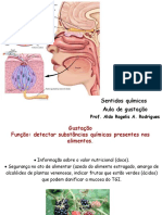 Aula sobre os sentidos químicos e a função da gustação