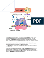 Actividad 2. La Intimidad de La Célula