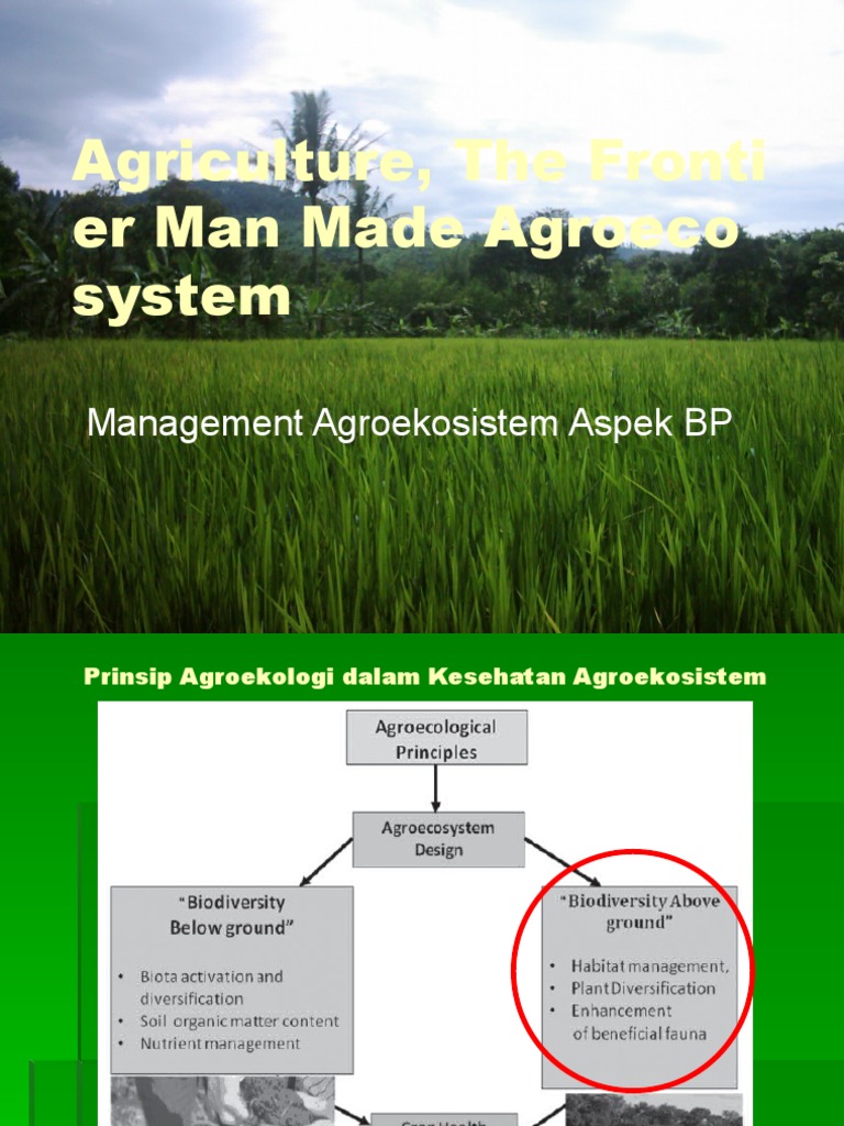 Agroecosystem Management Insights | PDF | Insecticide | Agriculture