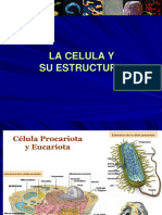 1.célula y Teoria Celular 2 MEP