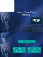 Sistem Gerak Manusia 1