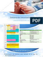 Esquema de Inmunizaciones Pedia