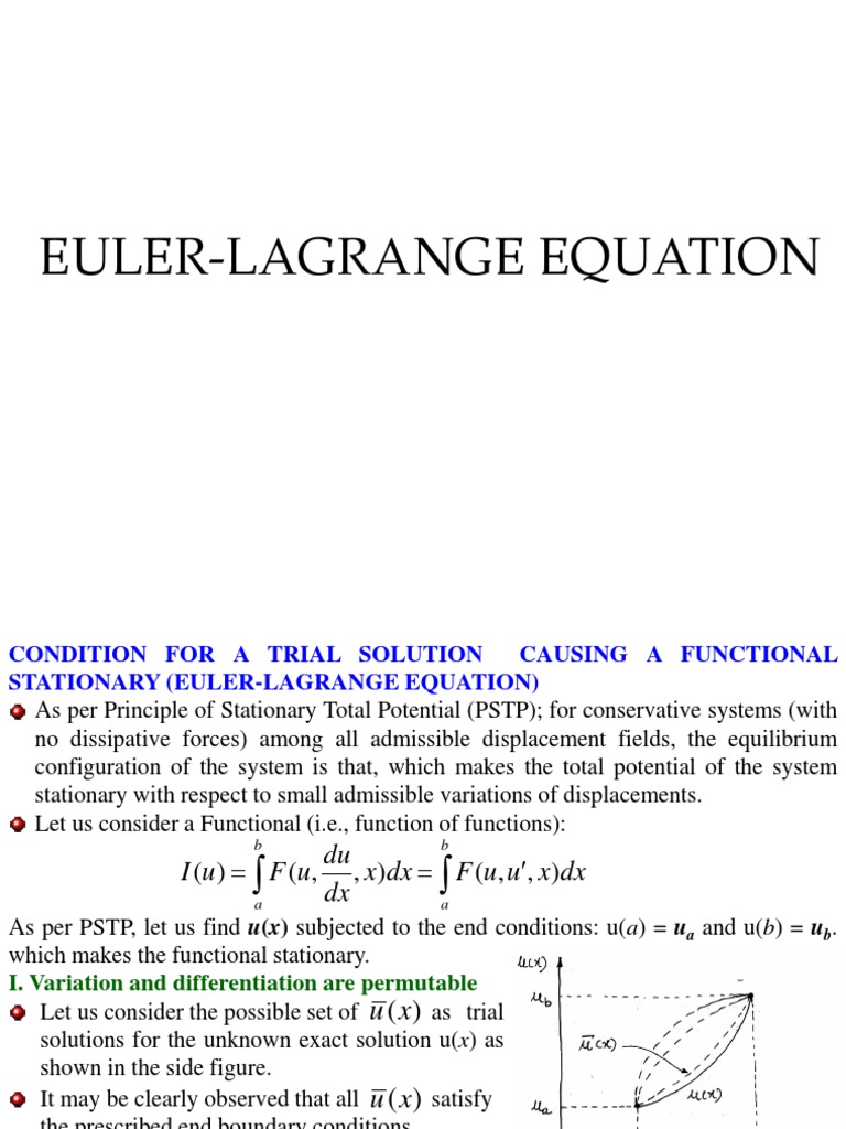 EulerLagrange Equation PDF Calculus Of Variations Mechanical