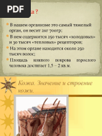 1c5b976aa3834f24bab017f3e2220f0e (1)