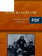 Cultura Mapuche Años 1993-1994