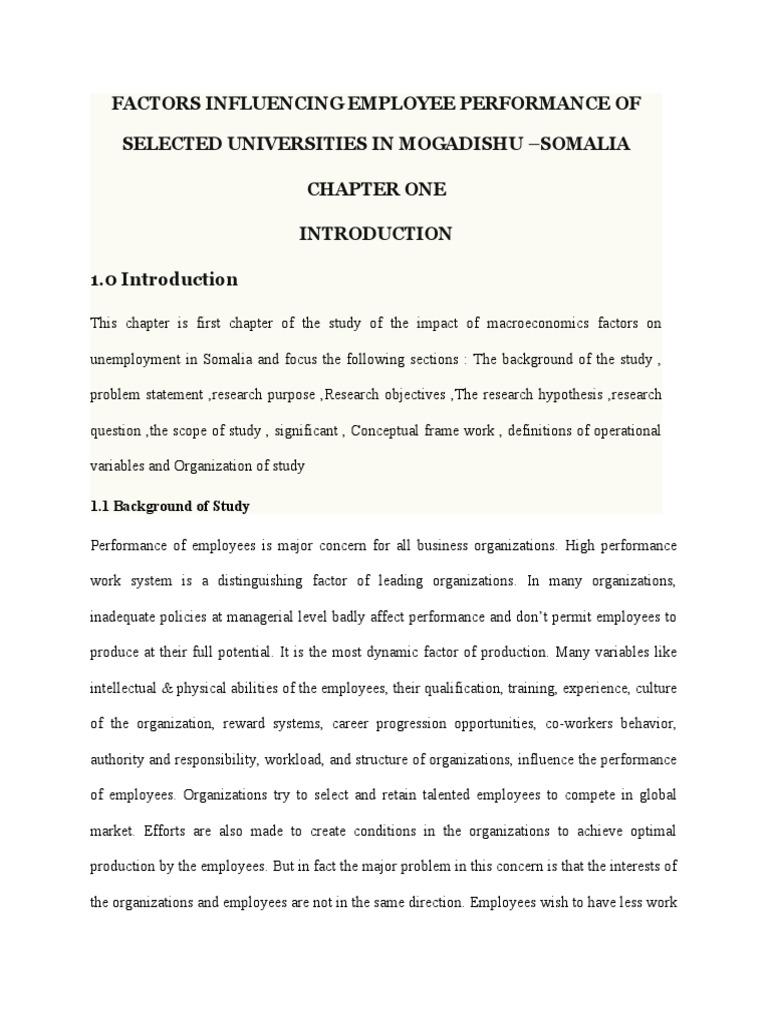 Factors Influencing Employee Performance of Selected Universities in ...