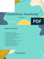 Metabolisme Xenobiotik - Kelompok 4