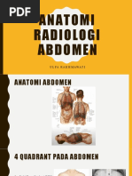 Panduan Radiografi Thorax Normal | PDF
