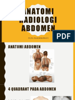 Anatomi Radiologi Abdomen
