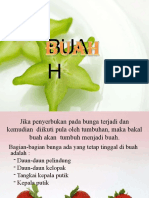 Buah 130523202020 Phpapp02