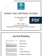 PPT Student Project 2 Kidney Stone Anggia Dimitri 1770121078