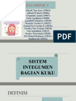 Sistem Integumen Kuku Kelompok 2