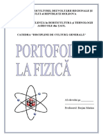 Foia de Titlu Porofoliu