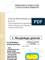 Morphologie Et Structures Des Bacteries