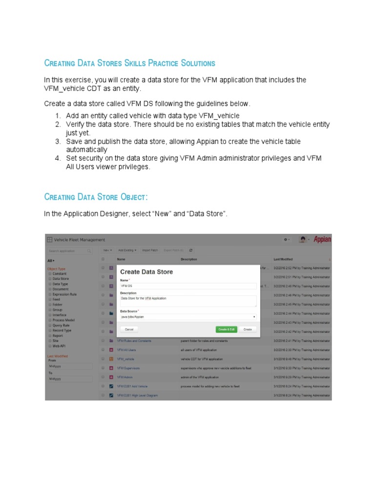 Create VFM Data Store in Appian | PDF | Business