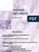 Patofisiologi Radang