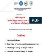 The Biology and Culture Status Worldwide of Tilapia