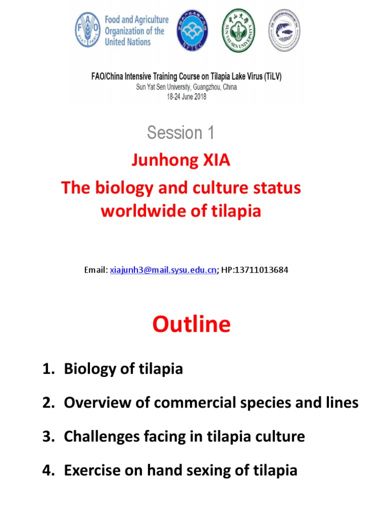 The Biology and Culture Status Worldwide of Tilapia PDF Fish
