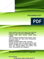 Program Audit