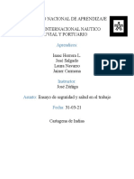 Ensayo de Seguridad y Salud en El Trabajo