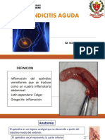 Apendicitis Aguda Interno