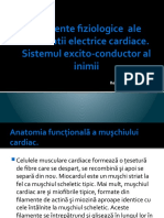 Elemente Fiziologice Ale Activitatii Electrice Cardiace