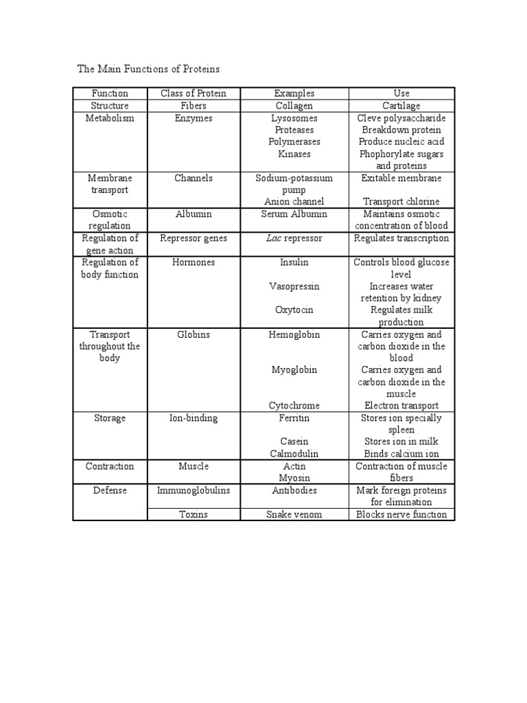 Six Primary Functions of Proteins | PDF | Proteins | Macromolecules