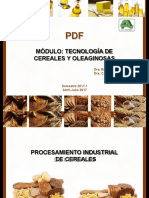 Procesamiento Industrial de Cereales