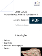 Aula II Digestório - Faringe, Mm. Mastigação e Dentes