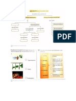 Actividad estimulos y respuestas 