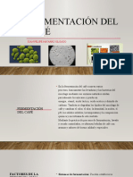 Fermentación Del Café