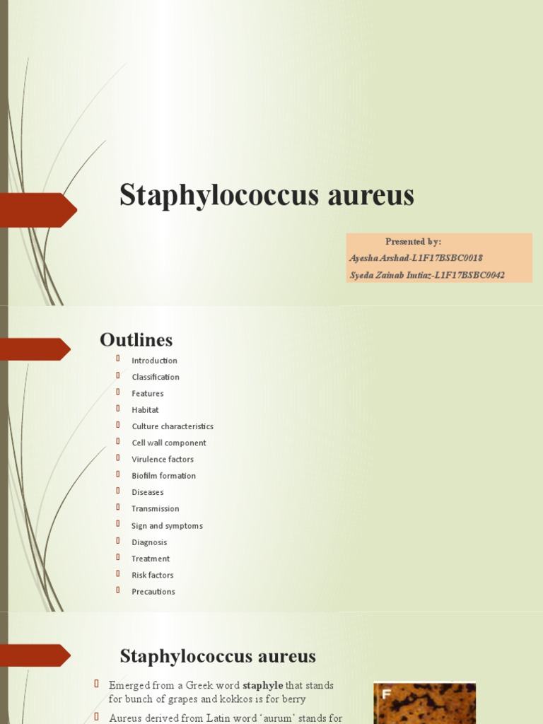 Staphylococcus Aureus: Transmission, Symptoms, Risk Factors, Diagnosis and  Treatment